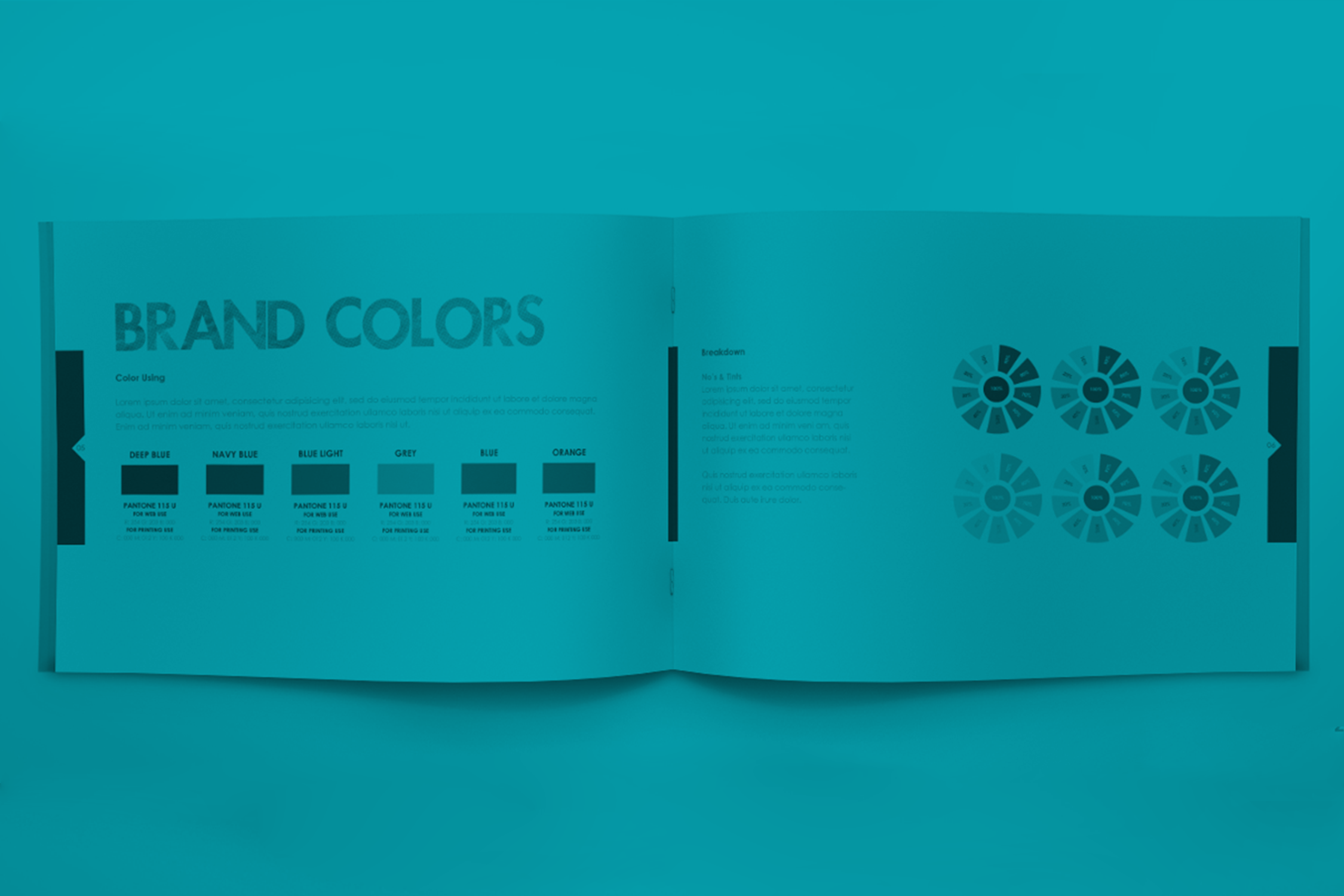 brand book